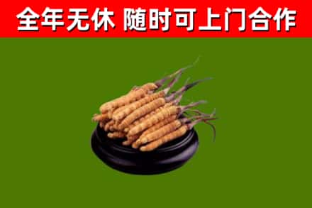 安乡县烟酒回收冬虫夏草.jpg